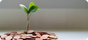 Sustainable Growth