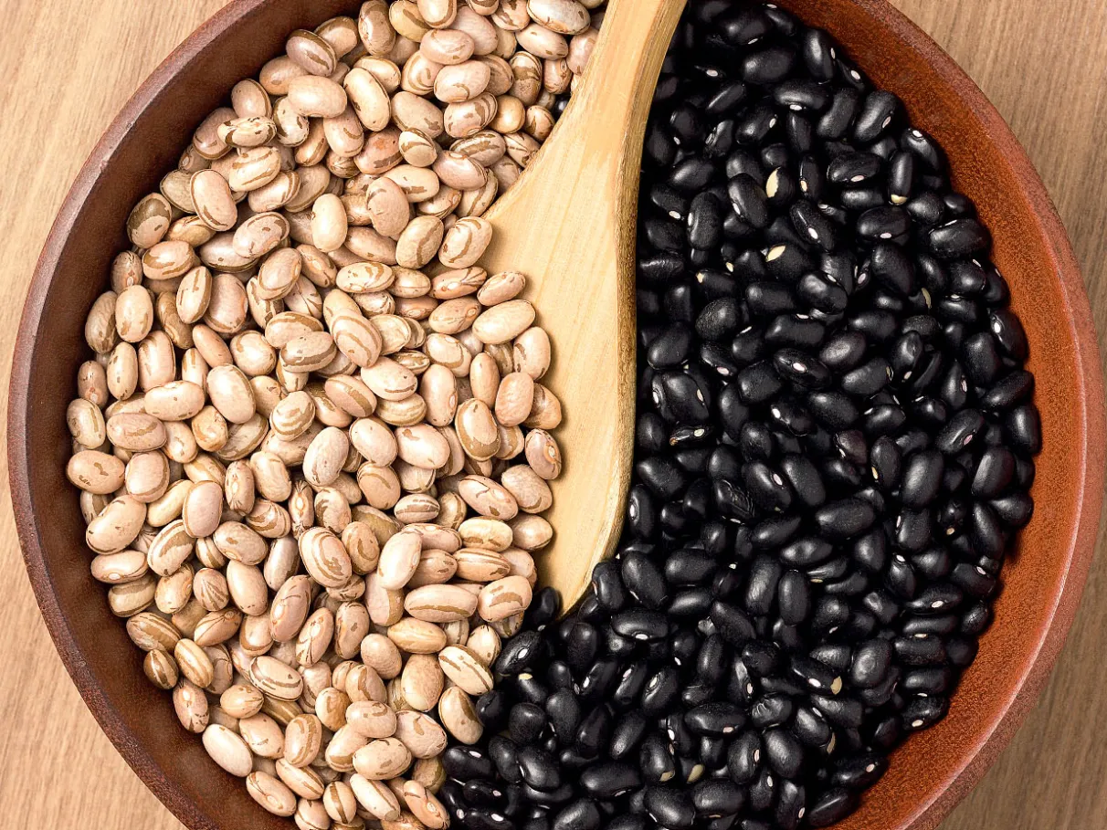 Bean